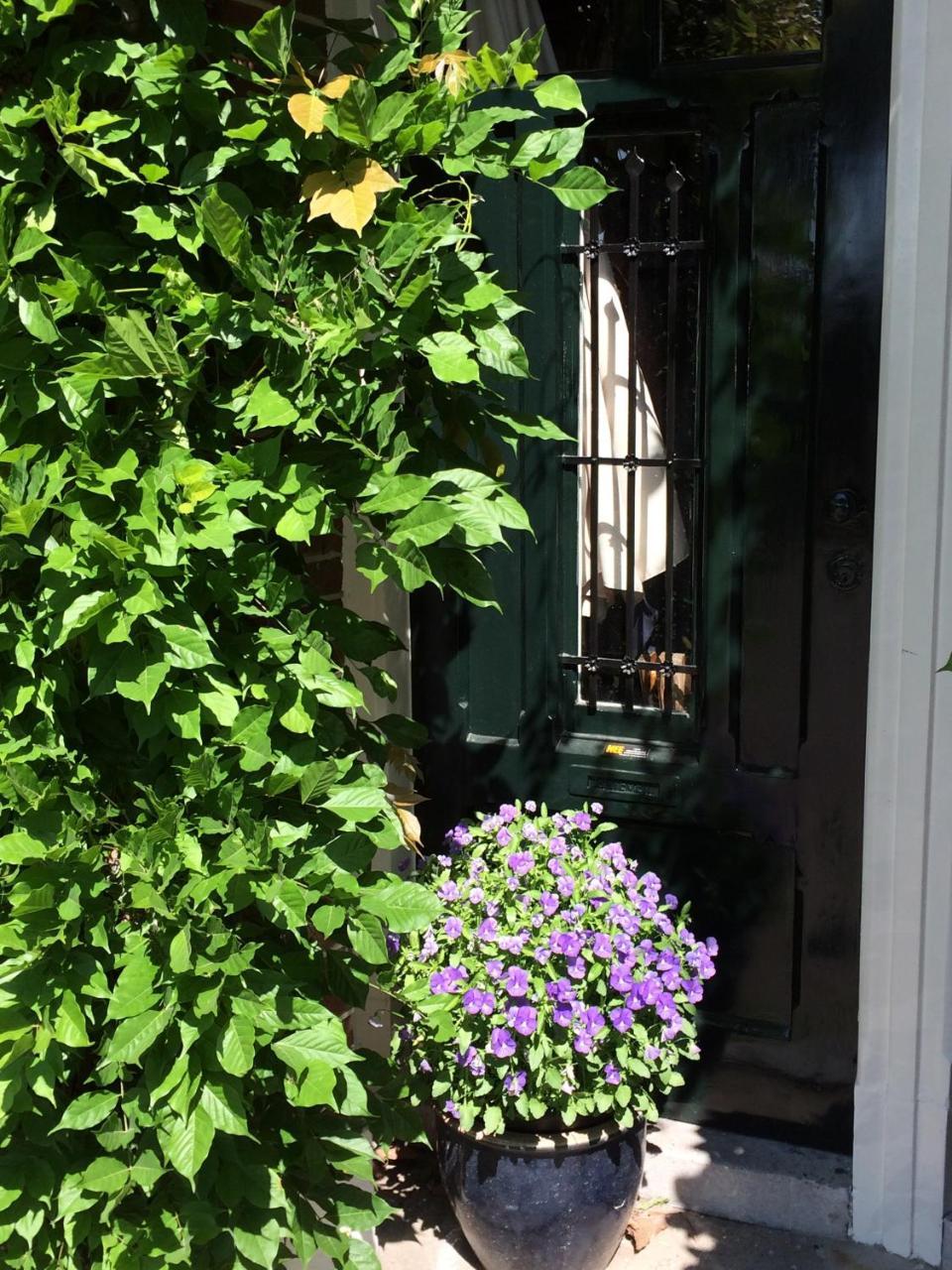 B&B Muntzicht Utrecht Exterior foto